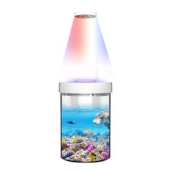 Generic Ornamental Multi-Functional Fish Aquarium With Mosquito-Killing Function Clear 24.80 x 16.20 x 16.20cm  - Image 2