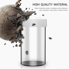 Generic Ornamental Multi-Functional Fish Aquarium With Mosquito-Killing Function Clear 19.10 x 11.20 x 11.20cm  - Image 3