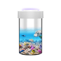 Generic Ornamental Multi-Functional Fish Aquarium With Mosquito-Killing Function Clear 19.10 x 11.20 x 11.20cm  - Image 2