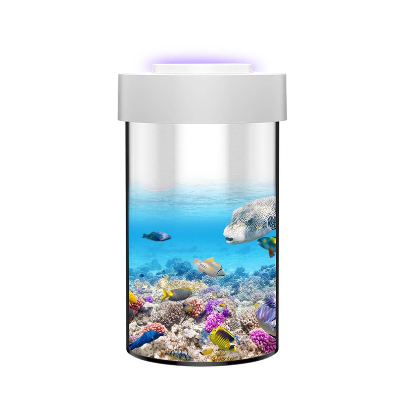 Generic - Ornamental Multi-Functional Fish Aquarium With Mosquito-Killing Function Clear 19.10 x 11.20 x 11.20cm - Image 1