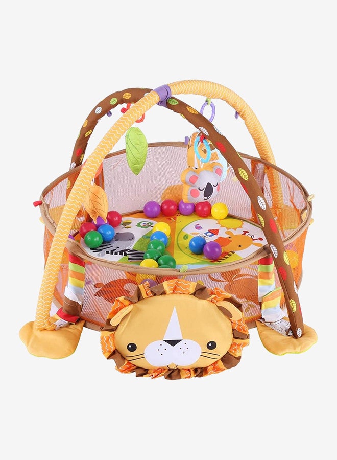 Beauenty Gym And Ball Activity Center 70x 52cm - Image 1