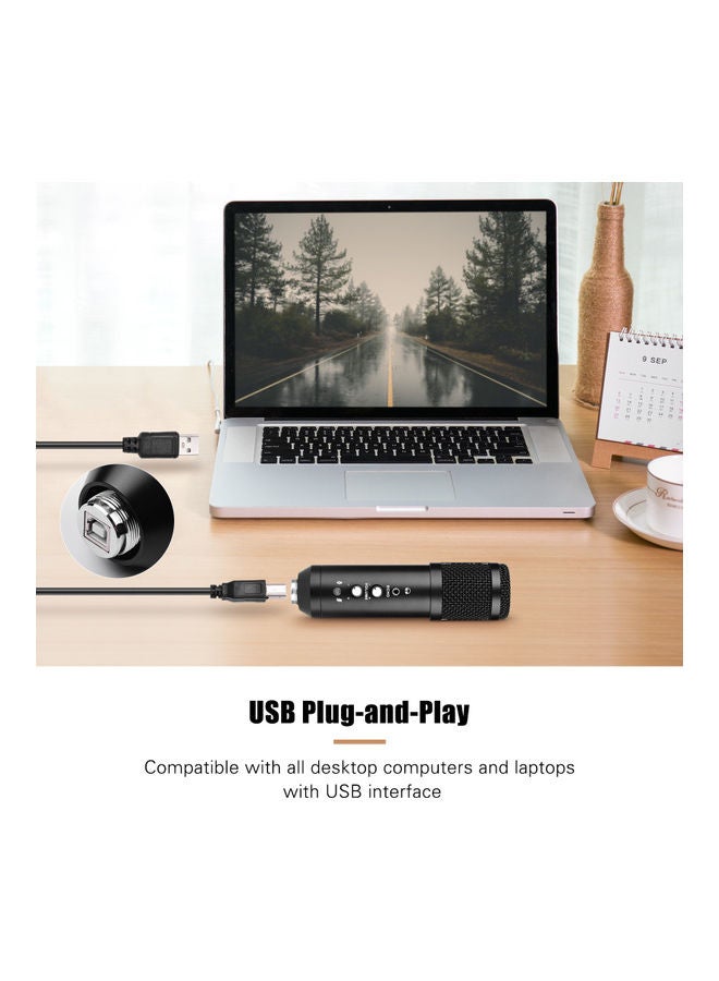 ميكروفون مكثَّف بمنفذ USB للتسجيل في الاستوديو أسود - Image 2