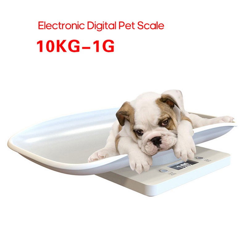 Small Pet Digital Portable Electronic Kitchen Food Scale with LCD Display White 30.00 X 5.00 X 19.00cm - Image 3