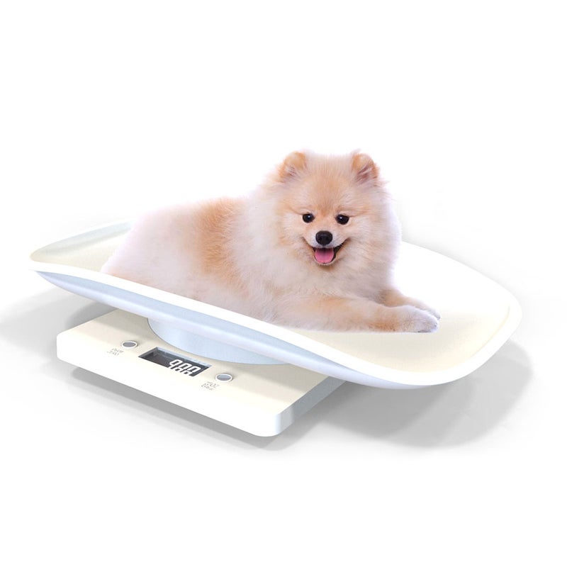 Small Pet Digital Portable Electronic Kitchen Food Scale with LCD Display White 30.00 X 5.00 X 19.00cm - Image 5