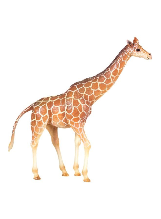 ناشيونال چيوغرافيك دمية الزرافة - Image 1