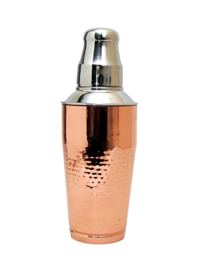 RAJ Copper Shaker Bottle Brown/Silver 0.75Liters 