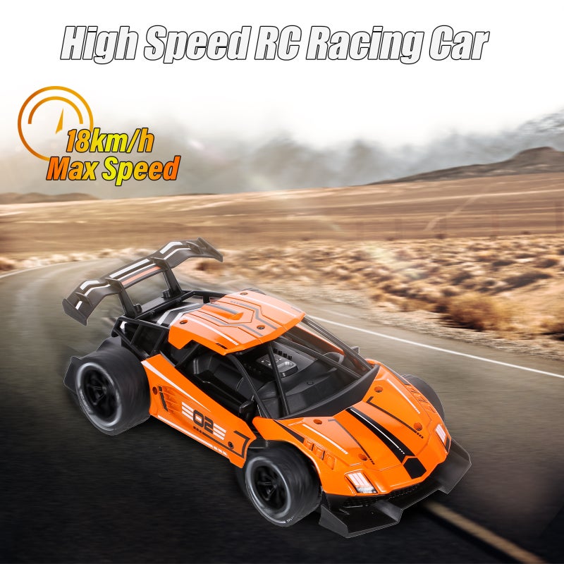 8002 1/16 2.4GHz Alloy High Speed RC Car 25.5cm
