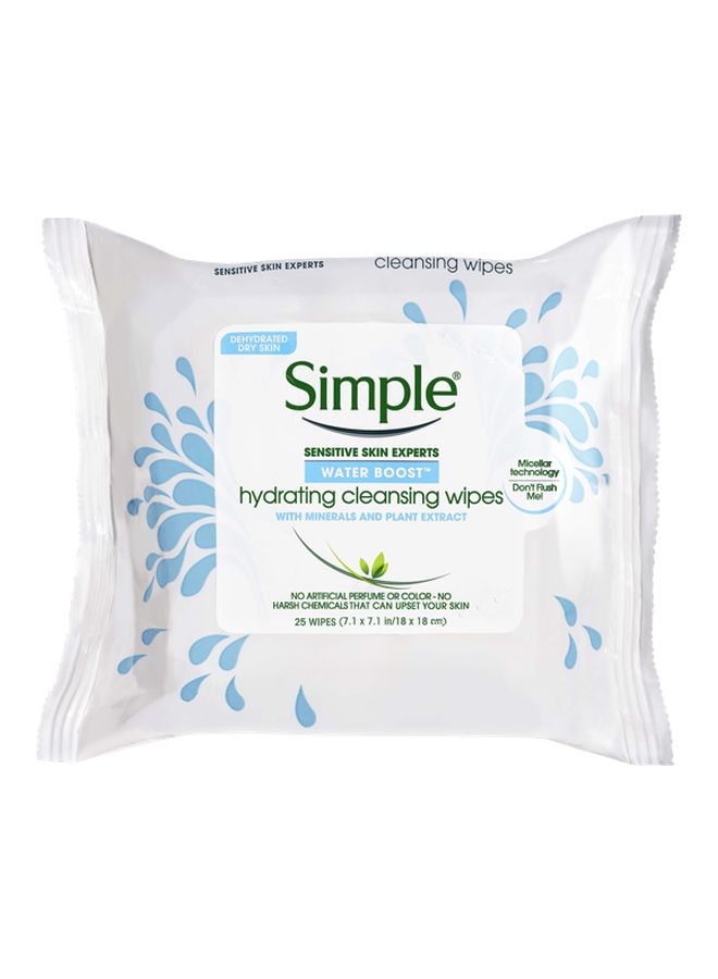 عبوة مناديل مبللة ووتر بوست للتنظيف والترطيب مكونة من 25 قطعة 19جرام