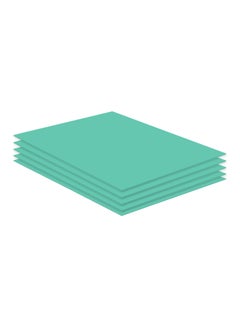 FIS 5-Piece Sponge Board Green 