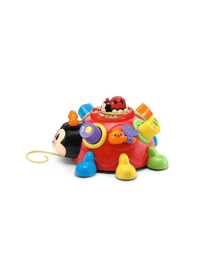 vtech Crazy Legs Learning Bug Toy for 12-36 Months - VT80-522303 9.7x17.8x19cm  - Image 2