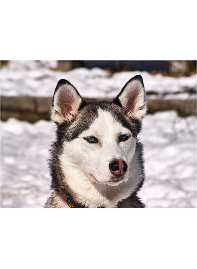 فاست برينت ملصق جداري ذاتي اللصق بتصميم كلب هاسكي متعدد الألوان 60x45سم
