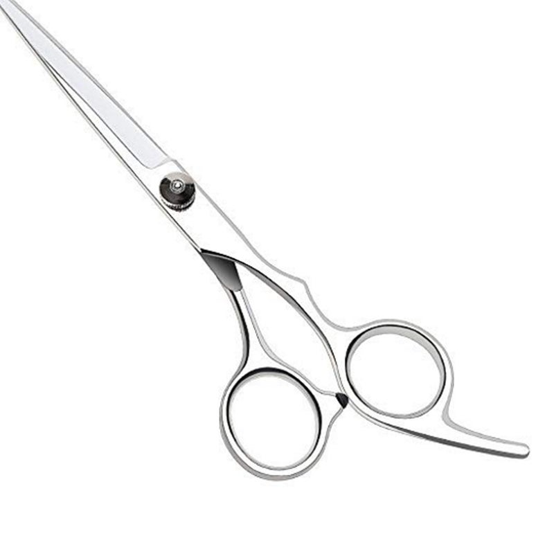 Stainless Steel Edge Professional Hairdresser Shears Cutting Scissor Silver 16 x 1 x 16cm - Image 1