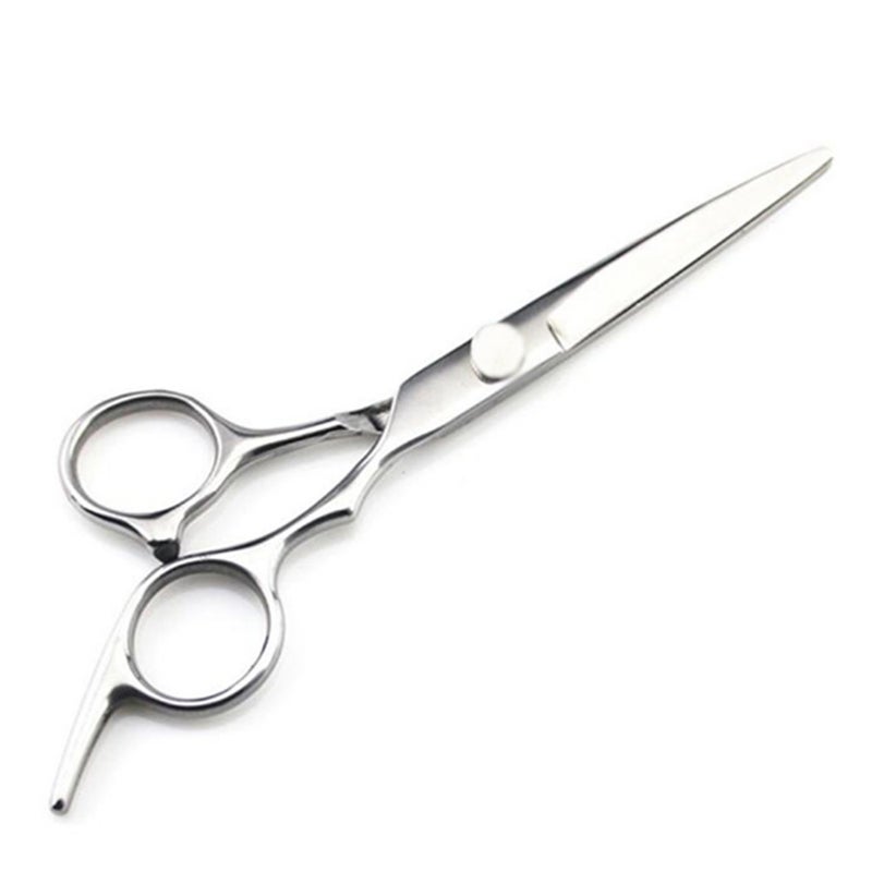 Stainless Steel Edge Professional Hairdresser Shears Cutting Scissor Silver 16 x 1 x 16cm - Image 5
