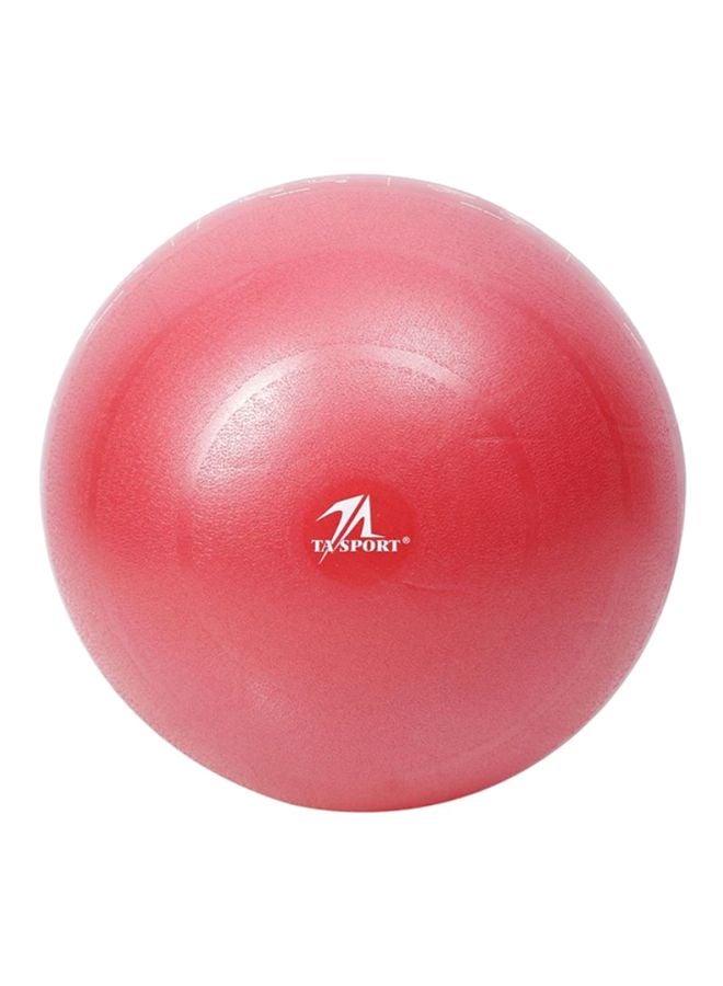 TA SPORTS Fitness Exercise Gym Ball 55cm  - Image 1
