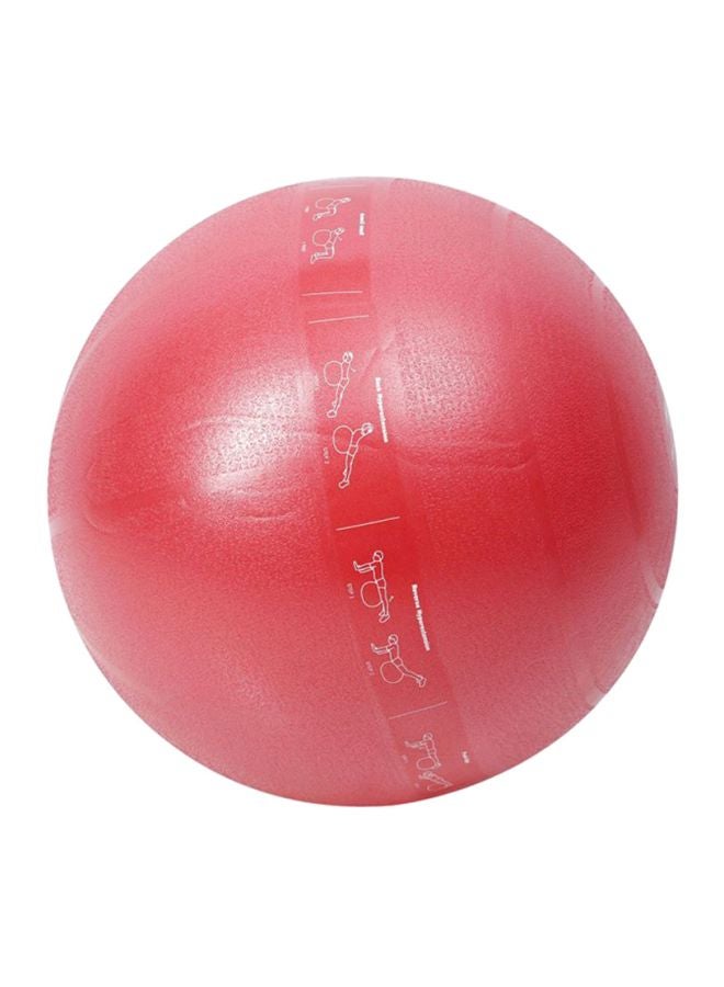TA SPORTS Fitness Exercise Gym Ball 55cm  - Image 2
