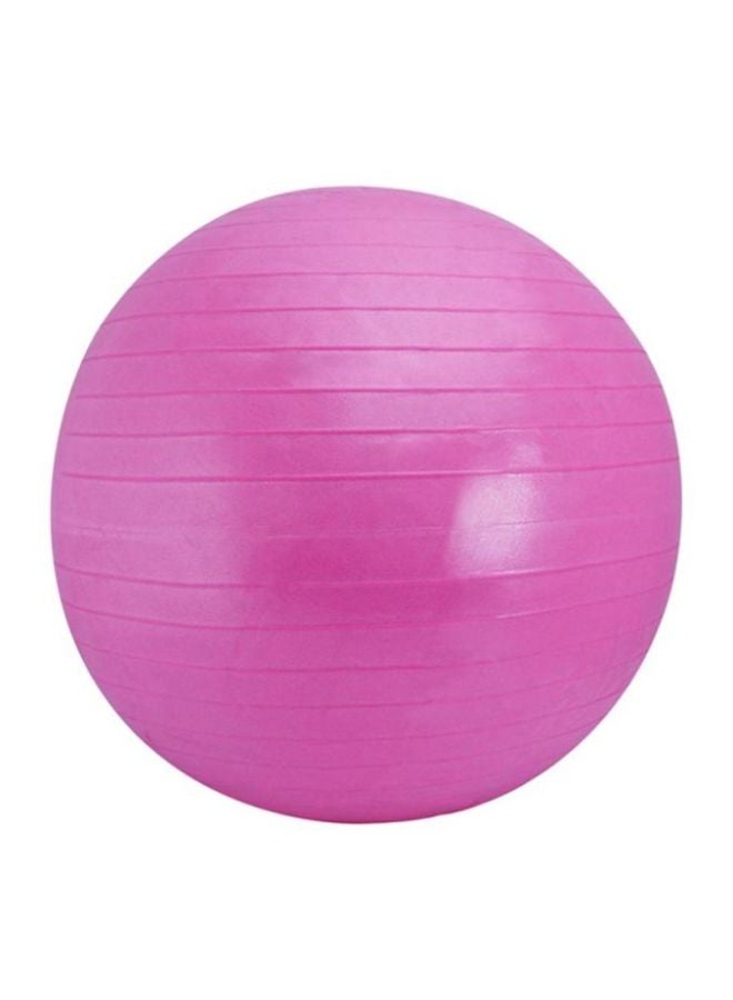 TA SPORTS Anti Resistant Gym Ball 55cm  - Image 1