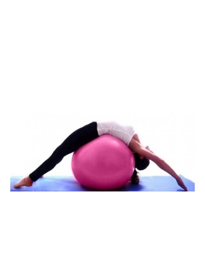 TA SPORTS Anti Resistant Gym Ball 55cm  - Image 3