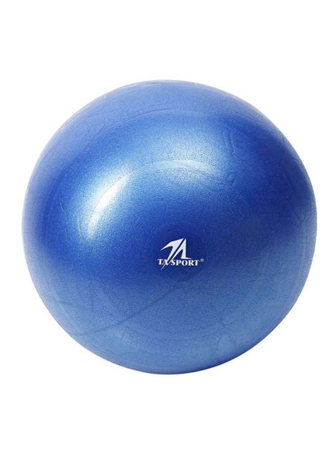 TA SPORTS Fitness Gym Ball  - Image 1