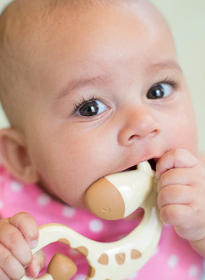 عضاضة دكتور براونز ريدجيز لتدليك اللثة