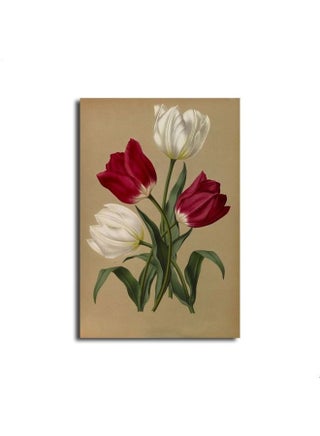 Floral & Botanical Design Framed Vinyl Tableau Multicolor 60x40cm - v1604254535/N41732235A_1