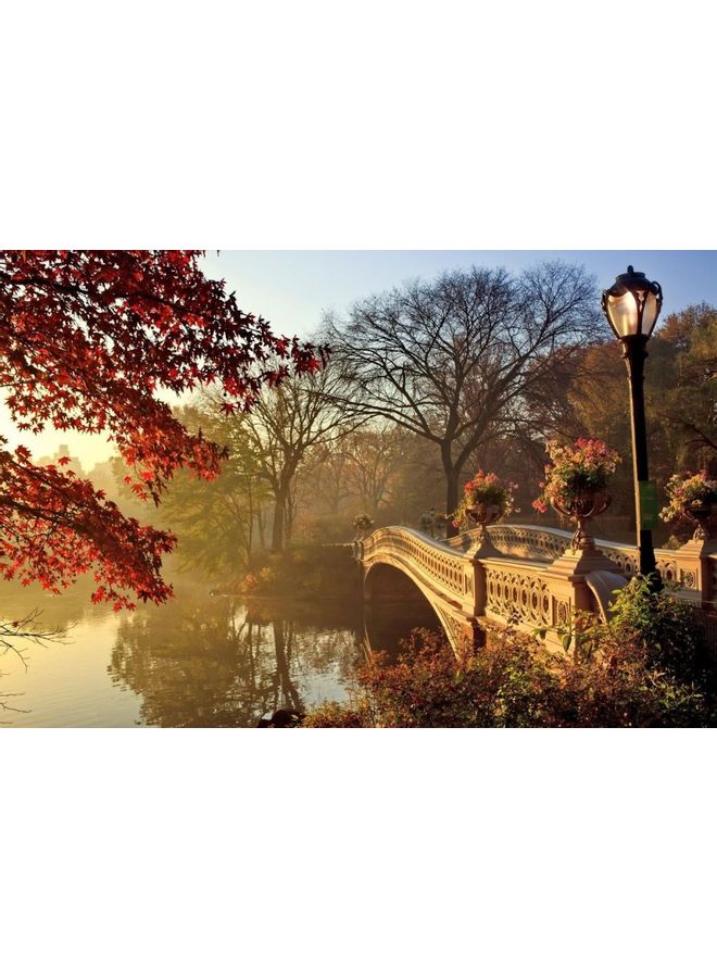 Fast Print Landscape & Nature  Design Framed Vinyl Tableau Multicolor 94x185cm 