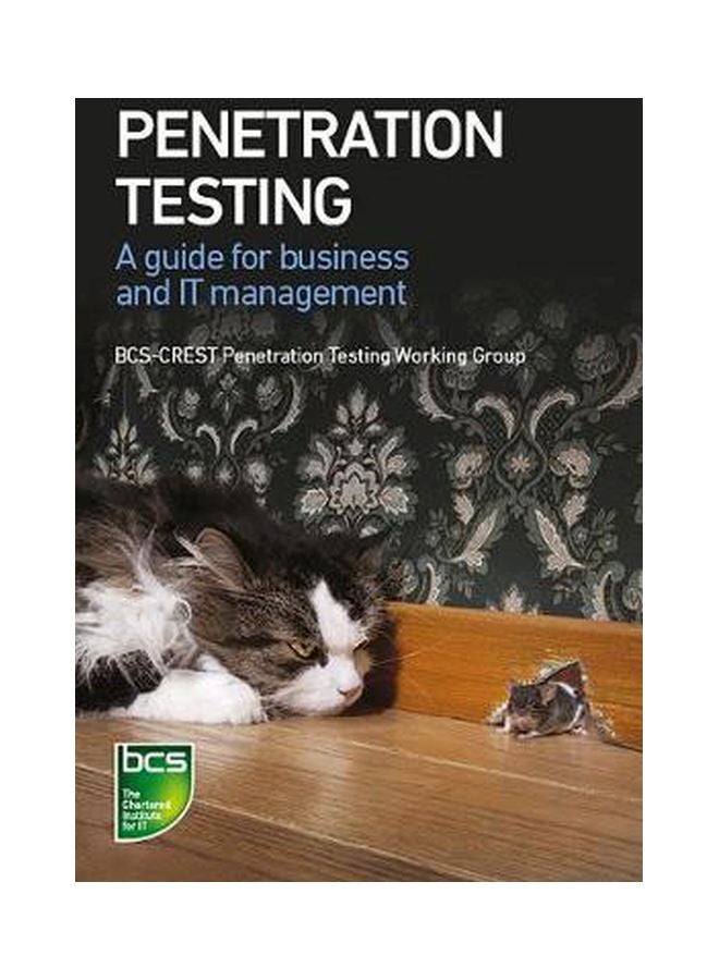 Penetration Testing: A Guide For Business And It Managers paperback english - 11 Sep 2019 