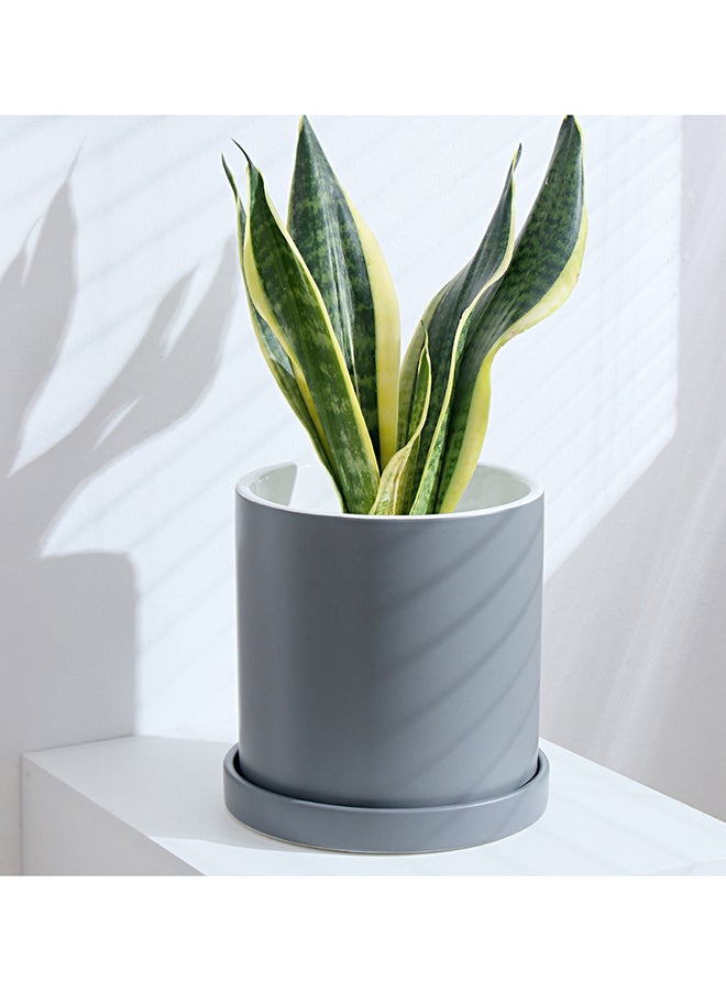 شور أصيص زهور من السيراميك بتصميم أسطواني بسيط للتزيين الداخلي مع صينية رمادي 17x17سم - Image 5