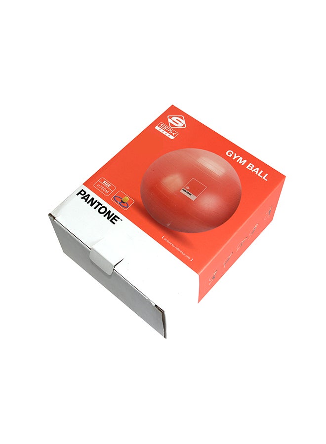 Pantone Gym Ball Set
