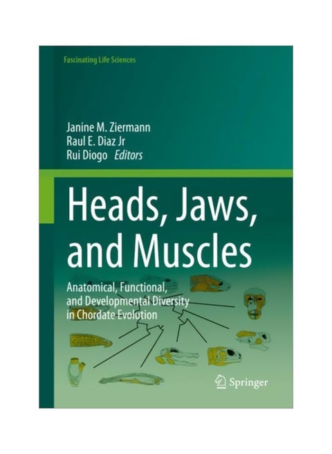Heads, Jaws, And Muscles: Anatomical, Functional, And Developmental Diversity In Chordate Evolution hardcover english - 05 Feb 2019