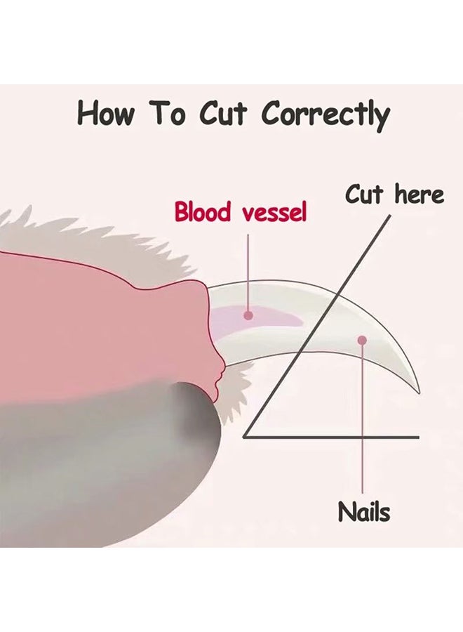 Pet Nail Clipper And Scissors Blue/White 5x12.5x1.5cm - Image 3