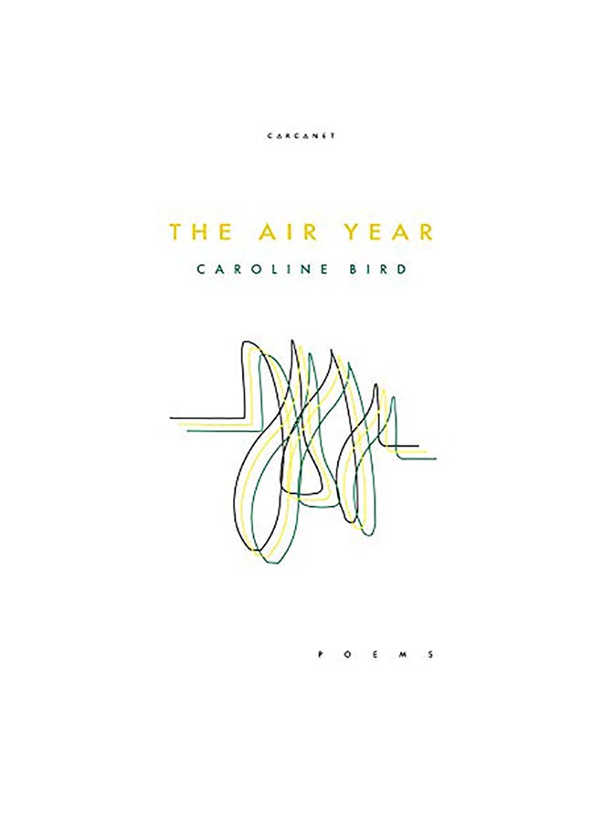 The Air Year Paperback English by Caroline Bird - 38545