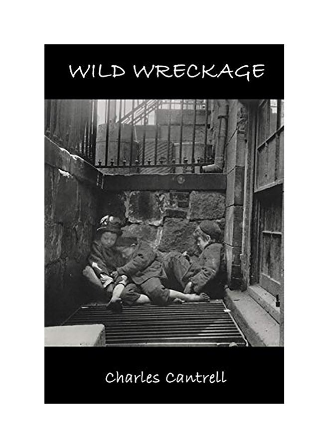 Wild Wreckage paperback english - 2020 