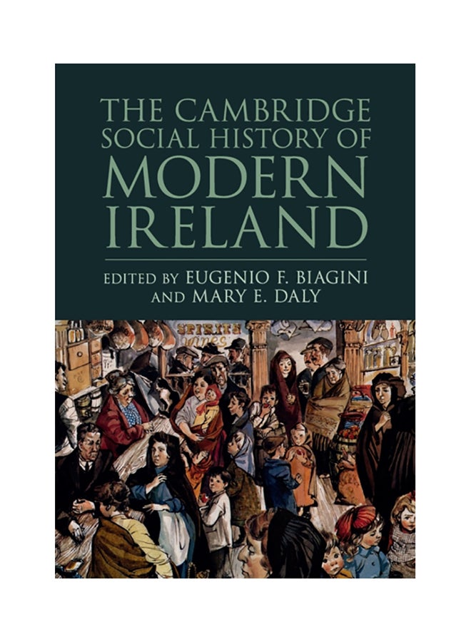 The Cambridge Social History Of Modern Ireland paperback english 