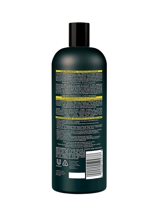 Pack Of 2 Expert Botanix Shampoo And Conditioner Set Shampoo 1x500, Conditioner 1x450ml