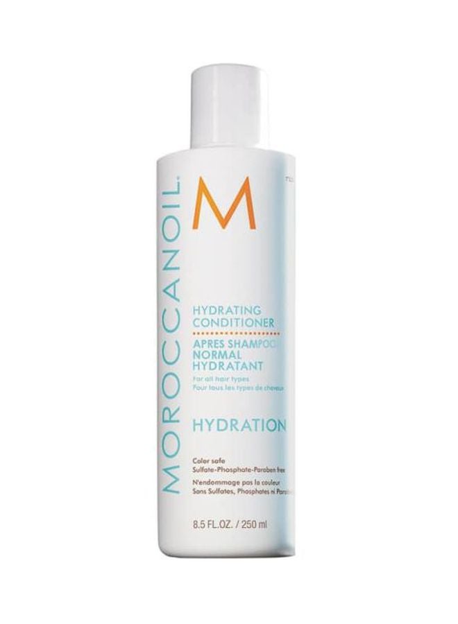 MOROCCANOIL Moisture Repair Conditioner 250ml - Image 1