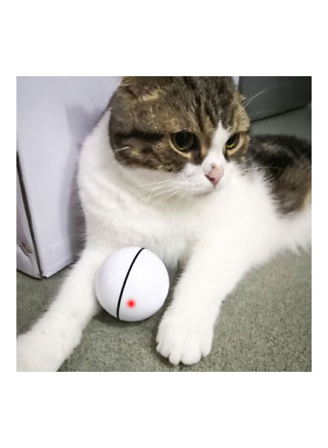 LED Light Pet Ball Exercise Chaser Toy Green 6.2cm - Image 5