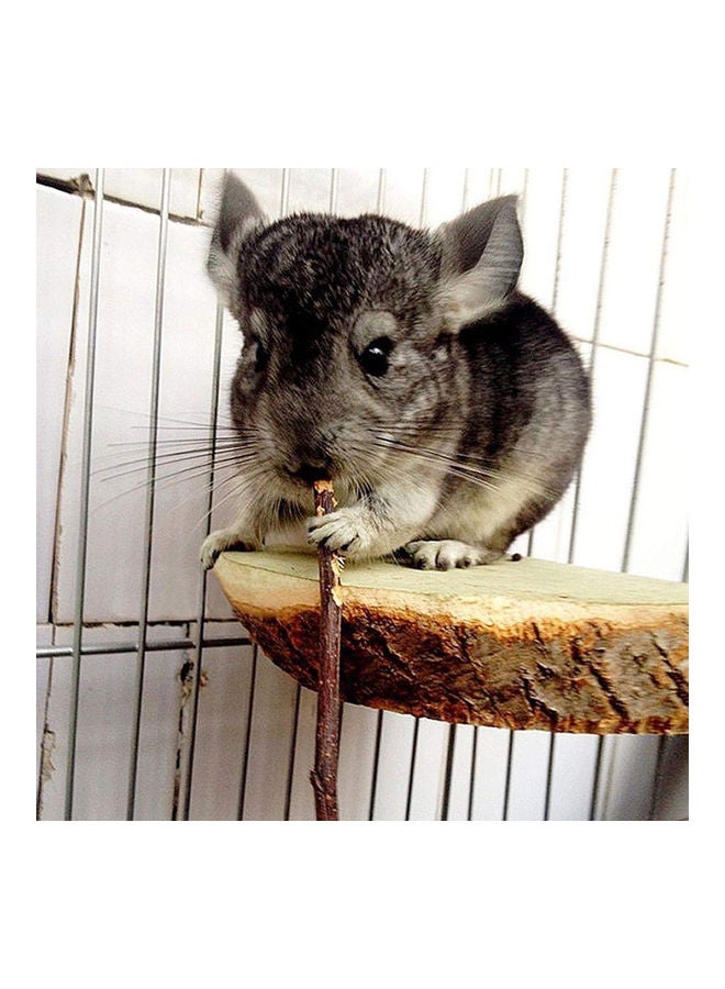 20-Piece Apple Tree Chew Sticks Set Brown 14x0.5cm - Image 3