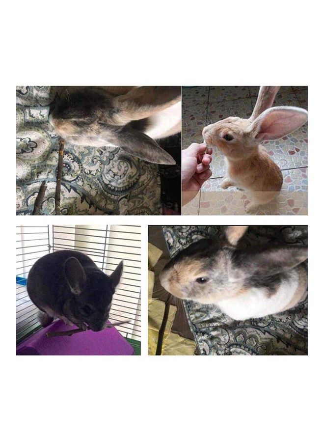 20-Piece Apple Tree Chew Sticks Set Brown 14x0.5cm - Image 5