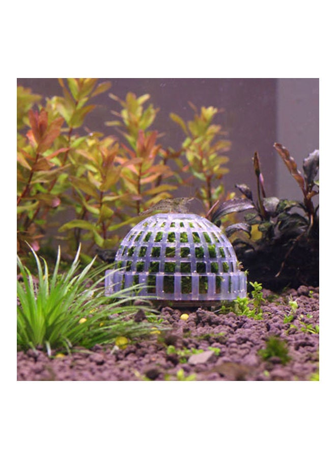 طحالب ماريمو لديكور حوض السمك شفاف 5x3.6سم - Image 4