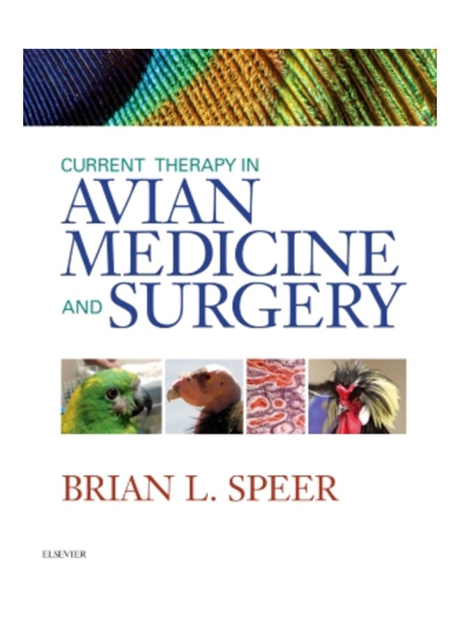 Current Therapy In Avian Medicine And Surgery Hardcover English by Brian Speer - 38540 