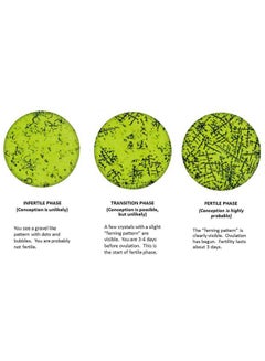 Geratherm Ovu Control Fertility Test  - Image 4