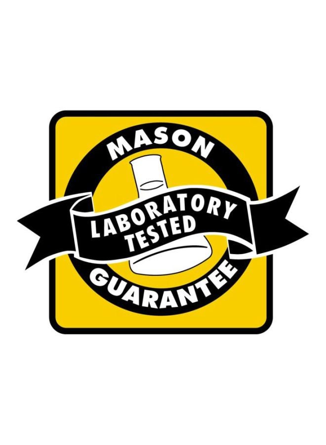 Mason Natural Ferrous Gluconate Iron Ferrous Supplement - 100 Tablets - Image 4