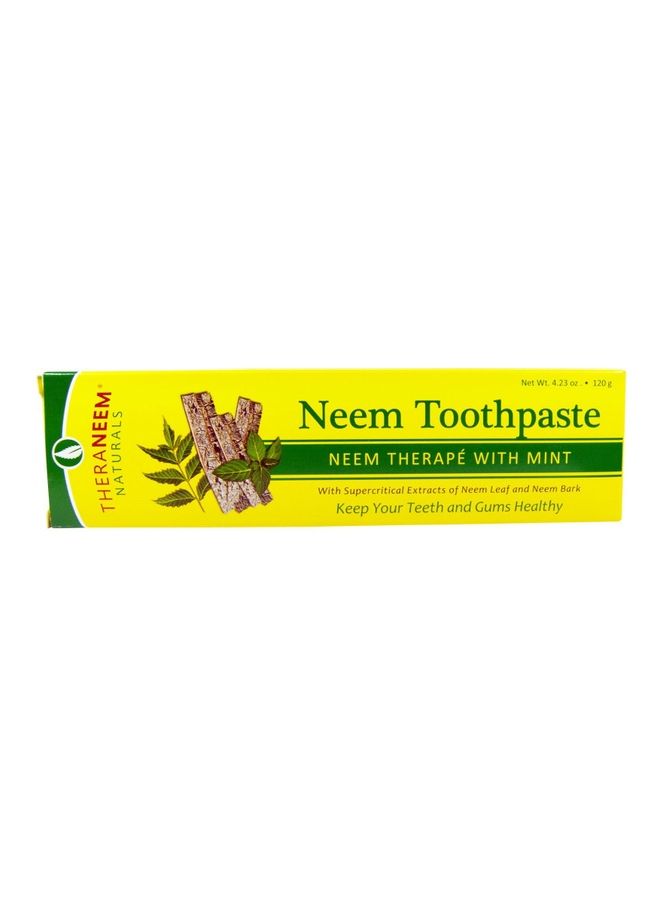 ORGANIX SOUTH Theraneem Naturals Neem Therape Toothpaste 120grams 