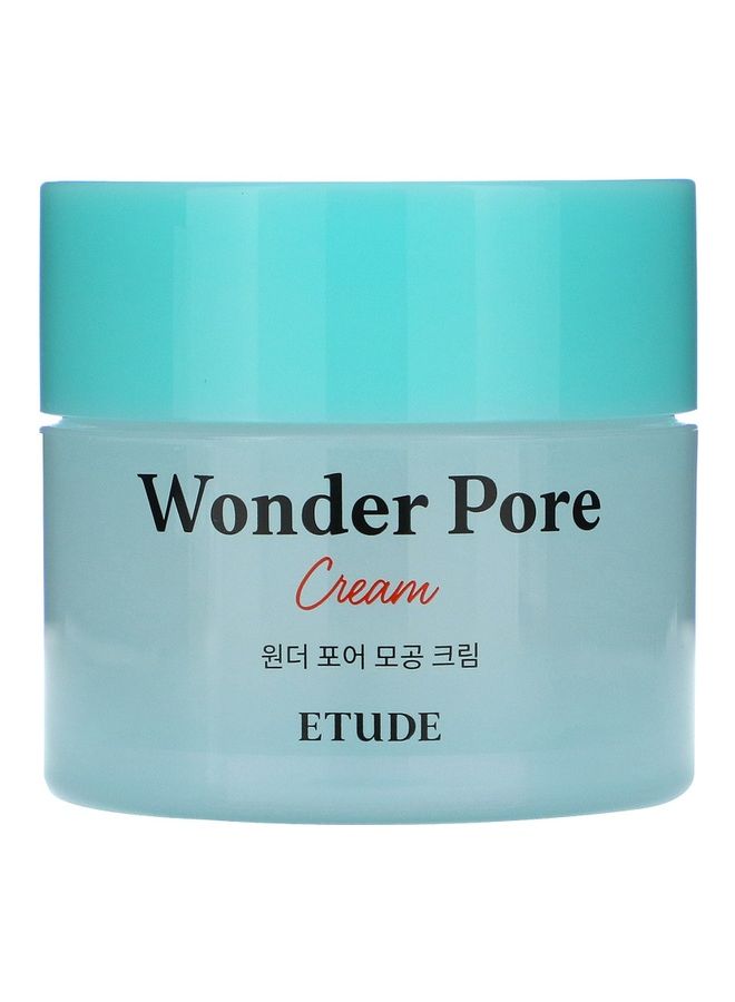ETUDE HOUSE - House Wonder Pore Cream 75ml - Image 1