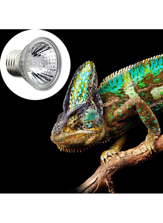 Pet Heating Lamp UVB Solar Light Crawler Ultraviolet Heating Sun Bulb Lizard Lamp 220V E27 multicolor 6*6*6cm - Image 4