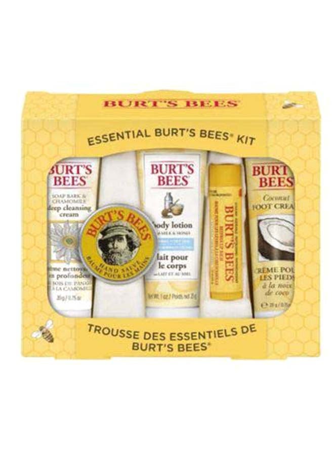 Burt's Bees 5-Piece Essential Everyday Beauty Kit