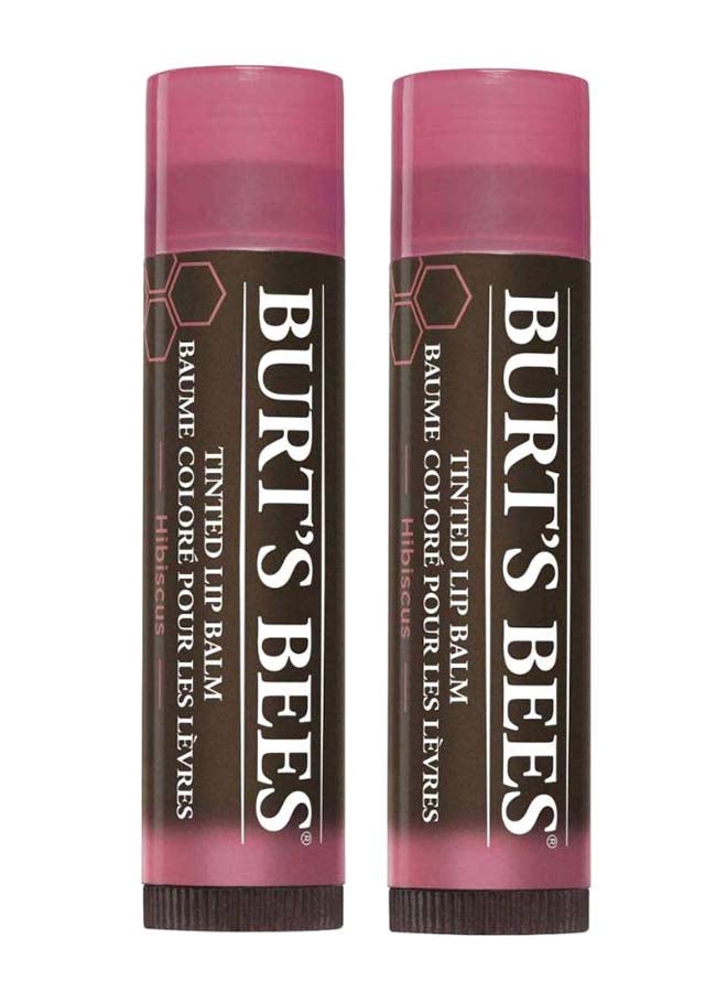 Burts Bees 2-Piece Natural Tinted Lip Balm Set 