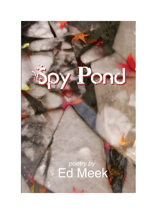 Spy Pond paperback english 
