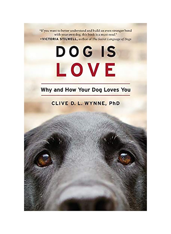 الكلب هو الحب: لماذا وكيف يحبك كلبك