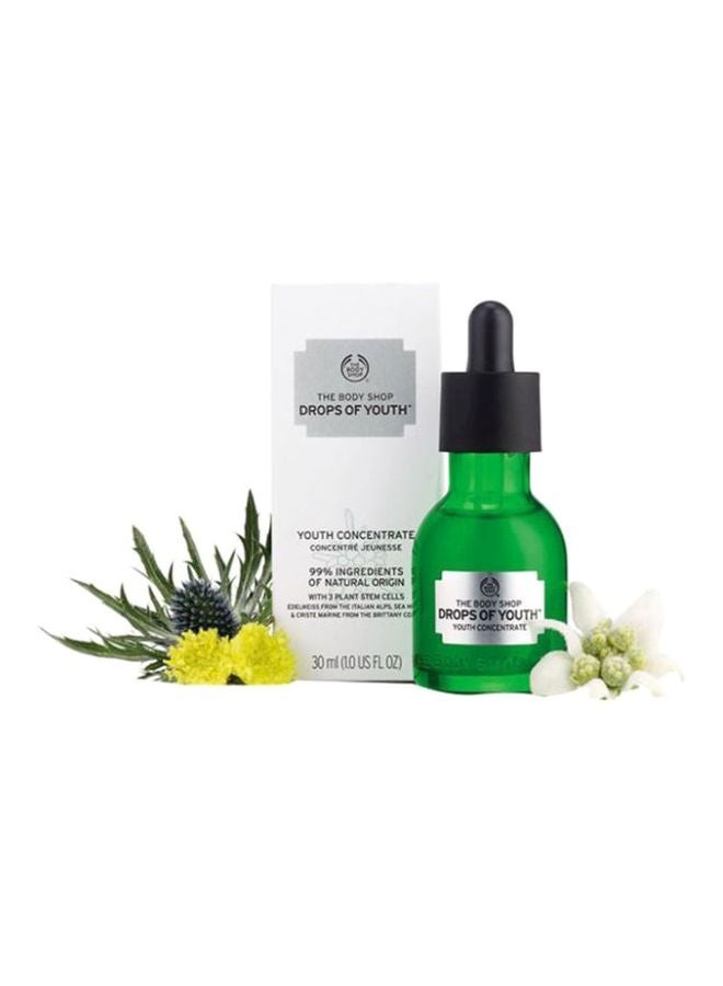 THE BODY SHOP - Drops Of Youth Concentrate 30ml - Image 1